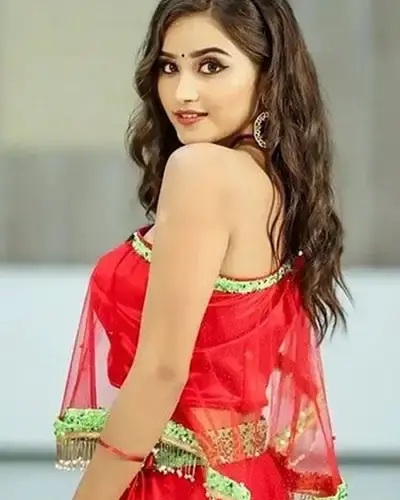 Escort In Wagholi